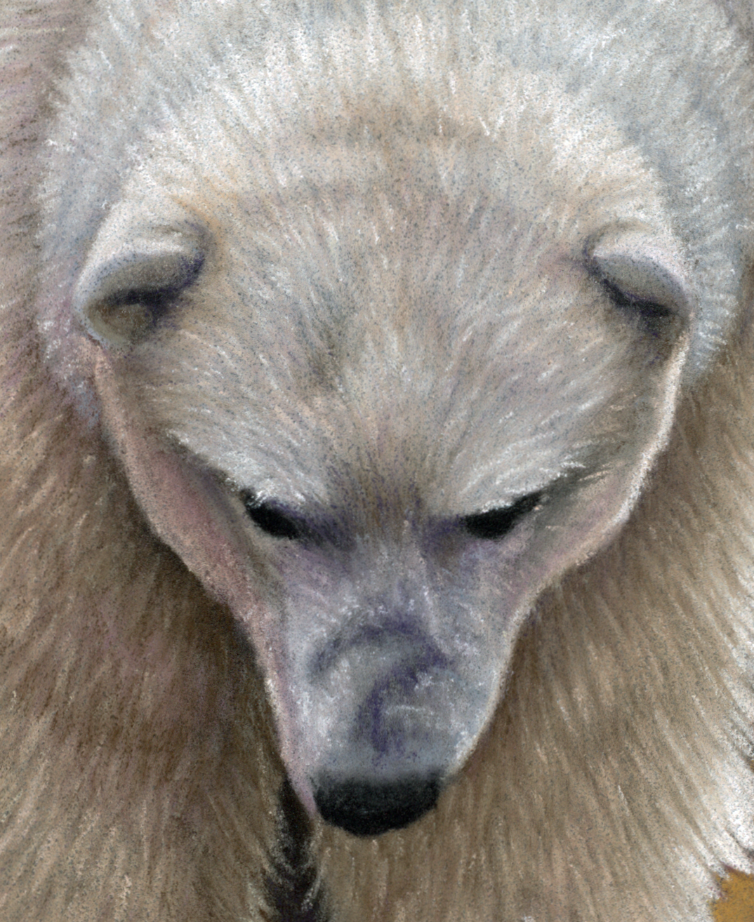 Stranded — Original Polar Bear Pastel Artwork