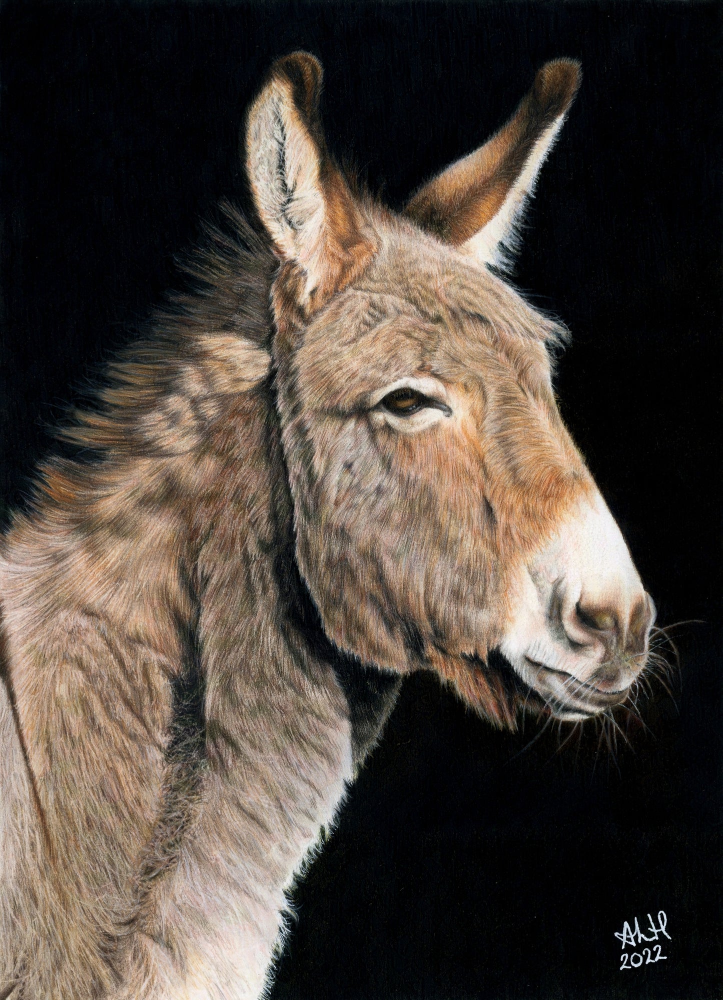 The Humble Guardian | Original Donkey Artwork
