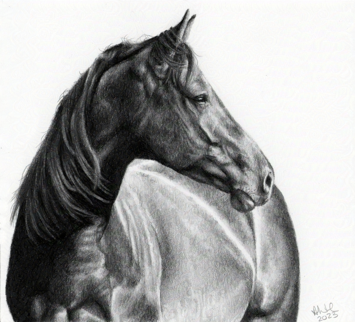 Timeless Grace | Original Horse Drawing