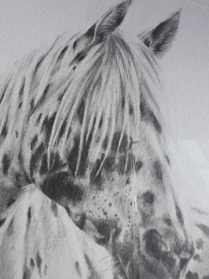 Dappled Grace | Original Horse Drawing