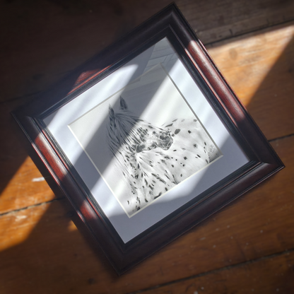 Dappled Grace | Original Horse Drawing