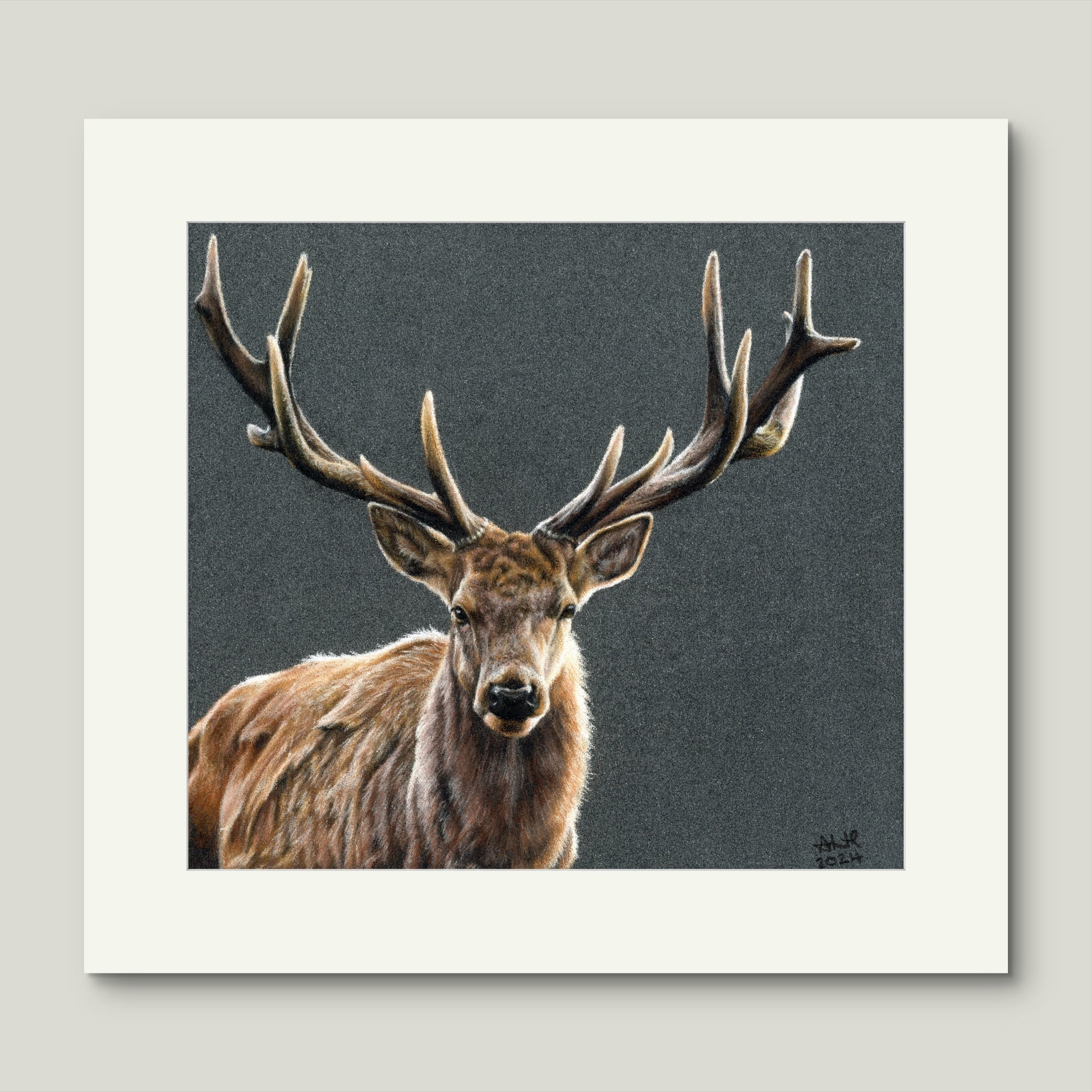 Mockup of the original coloured pencil artwork "The Silent Monarch" by Abigail Hemmings, showing a realistic stag with full antlers on a textured dark background.