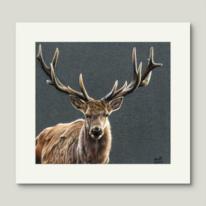 Mockup of the original coloured pencil artwork "The Silent Monarch" by Abigail Hemmings, showing a realistic stag with full antlers on a textured dark background.