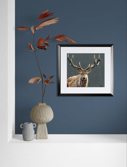 Framed wall mockup of the original coloured pencil drawing "The Silent Monarch" by Abigail Hemmings, featuring a majestic stag with antlers against a dark background.