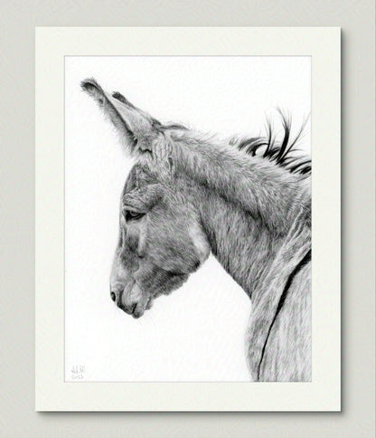 Mockup of the original graphite drawing "The Thoughtful Watcher" by Abigail Hemmings, showing a realistic donkey in profile with soft, expressive detail.